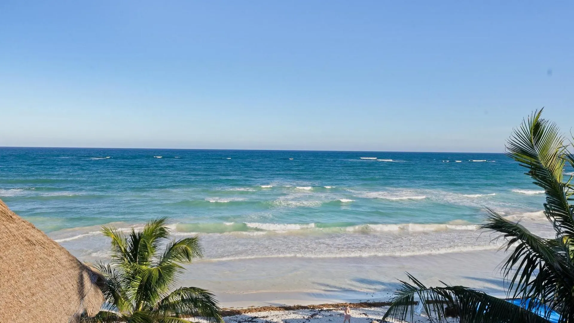 Playa Canek Beachfront Eco Hotel Tulum