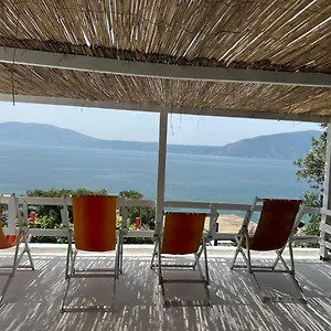 Mario , Radhimë Albania